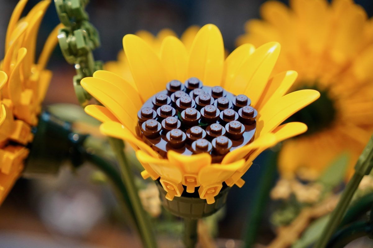 LEGO Botanicals 11502 Sunflower Bouquet review 12 1200x800