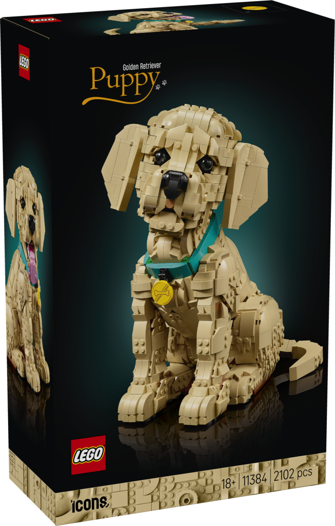 LEGO Icons 11384 Golden Retriever Puppy 2 653x1024