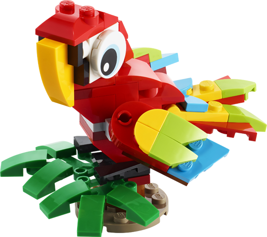 30581 Tropical Parrot 2